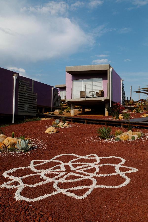 Flor De Cera Βίλα Valle de Guadalupe Εξωτερικό φωτογραφία