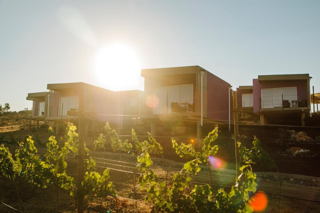 Flor De Cera Βίλα Valle de Guadalupe Εξωτερικό φωτογραφία